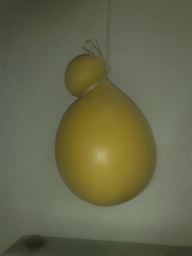 Provola tipo casale dolce - provola,