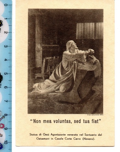 Santino holy card gesù - -,